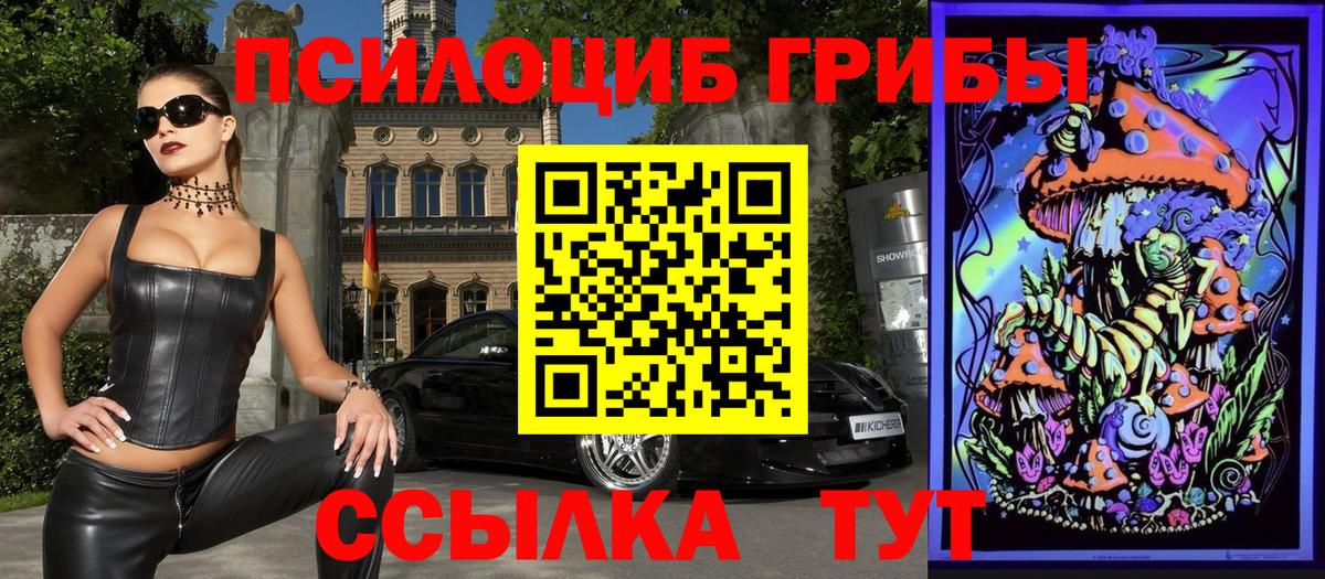 Галлюциногенные грибы GOLDEN TEACHER  Вход с VPN  Красноармейск  Галлюциногенные грибы GOLDEN TEACHER 